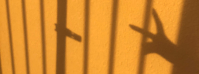 はなかっぱ(•Ӫ•)さんの壁紙画像