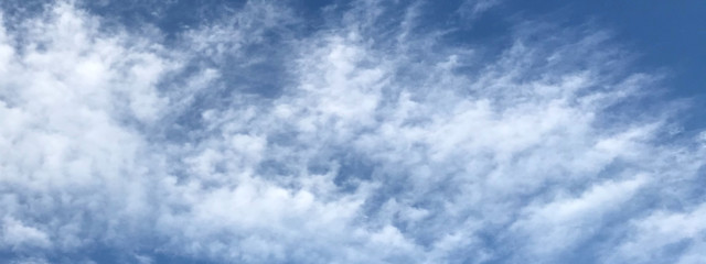 梅こまち👾#めろんそーだ👾🍒🎧のサブ垢ですさんの壁紙画像