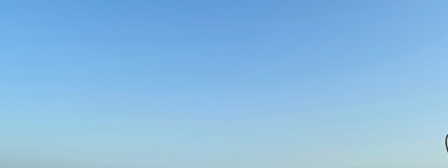 🍼 まっちゃん🐣さんの壁紙画像