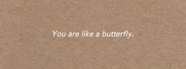 そよちゃ🌦さんの壁紙画像