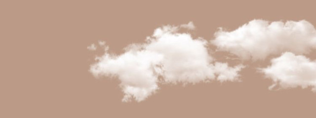 ViViさんの壁紙画像