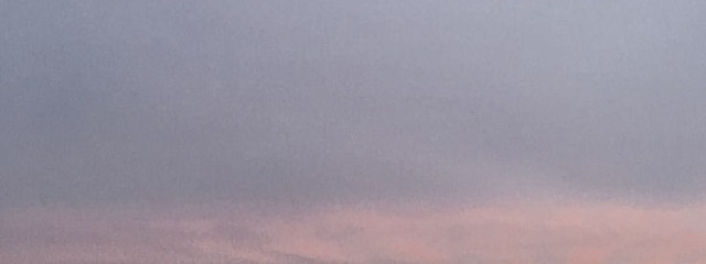 紫さんの壁紙画像