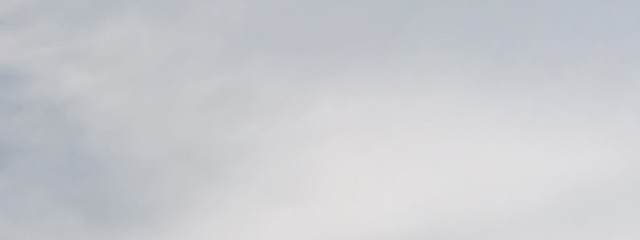 🥀さんの壁紙画像