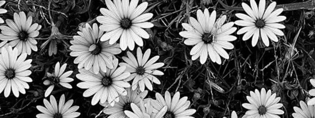 Aさんの壁紙画像