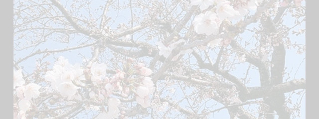 さぁや︎︎︎︎︎🥀🌿さんの壁紙画像