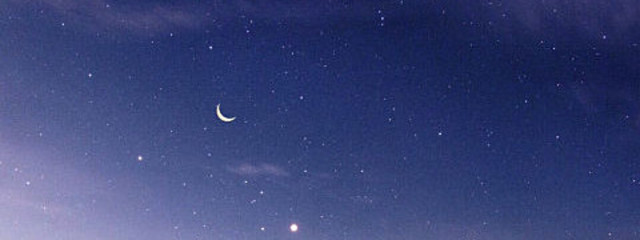 Kinokoさんの壁紙画像