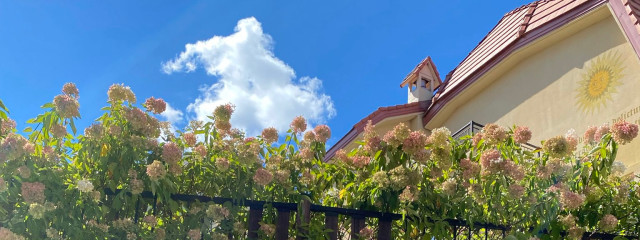 かなたさんの壁紙画像