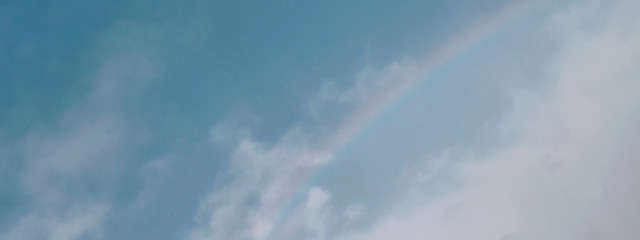  ゆめ (* 'ᵕ' )活動休止さんの壁紙画像