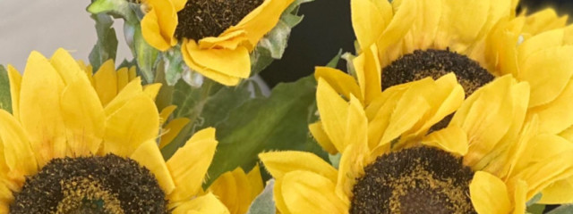 ゆーちゃんさんの壁紙画像