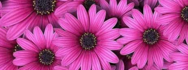 NJRUNYM.!さんの壁紙画像