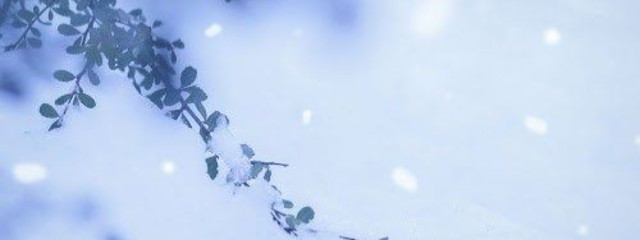 ŸūŻū＿*¨*•.¸♪お休みしてます( ˘ω˘ ) ｽﾔｧさんの壁紙画像