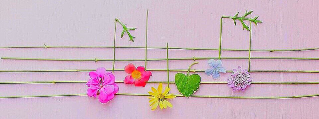 虹音さんの壁紙画像