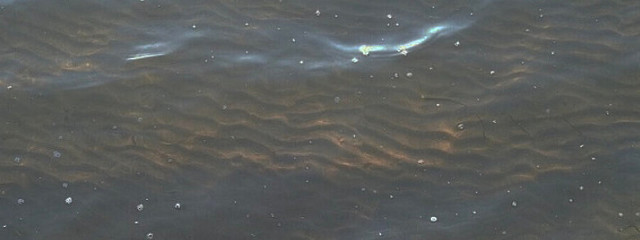 たるぎ　🎭🥀さんの壁紙画像