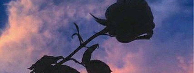 水雲🗝さんの壁紙画像