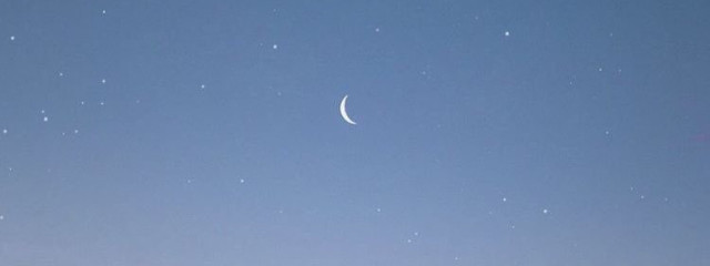 yukiさんの壁紙画像