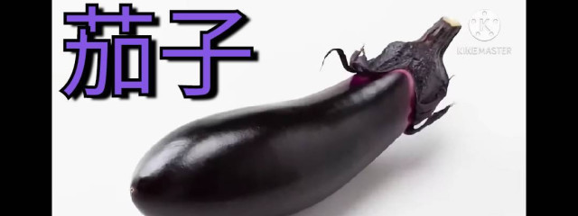 アヤメちゃ:( ;´꒳`;)さんの壁紙画像