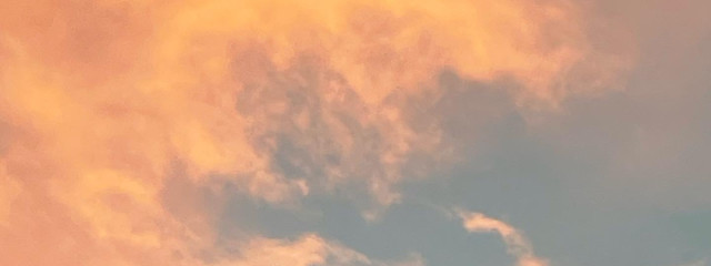 黄さんの壁紙画像