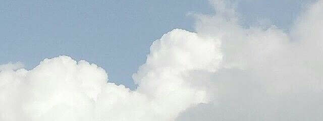 紫苑さんの壁紙画像