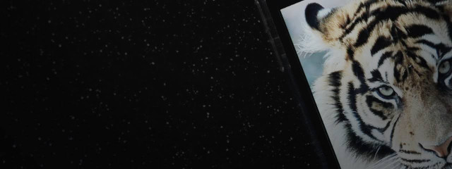 지수 🌙さんの壁紙画像