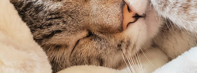 ＊Mai＊さんの壁紙画像