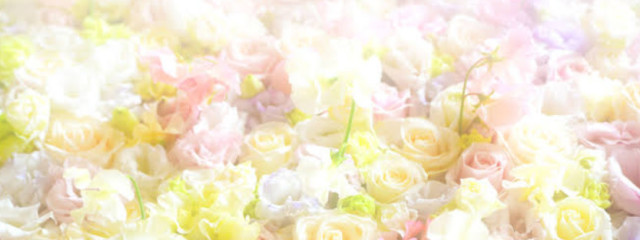 花野さんの壁紙画像