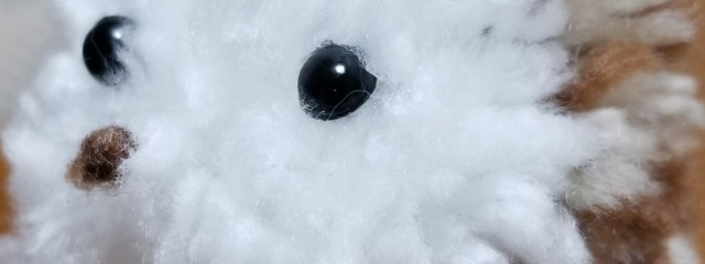 ひまわりさんの壁紙画像