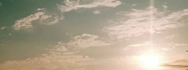 五月雨さんの壁紙画像