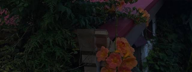 я _さんの壁紙画像