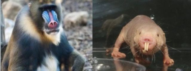 とあ☔️@投稿非常に遅いですさんの壁紙画像