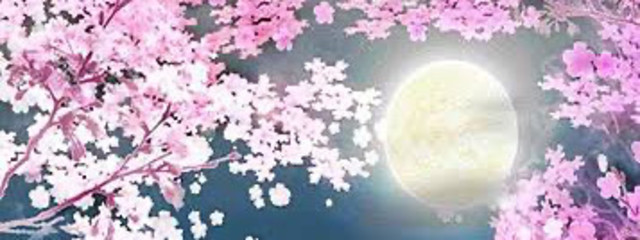 さくさんの壁紙画像