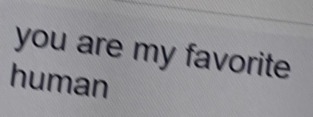 　り う ら 🐬💍さんの壁紙画像