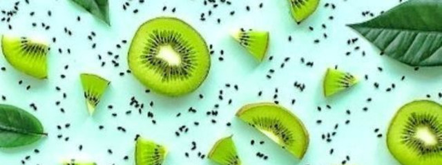 樹鷙癒さんの壁紙画像