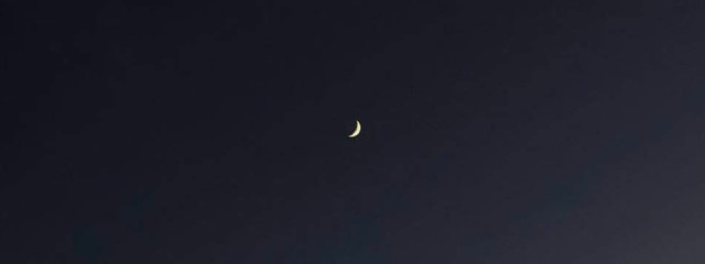 ぴ ゅ れ .さんの壁紙画像