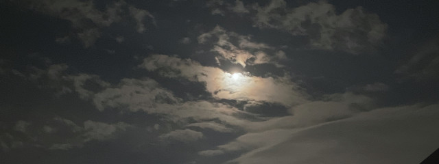 リン🦊ꉂꉂ🐯さんの壁紙画像