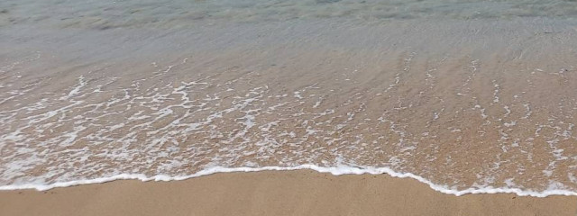 🈂️🈂️🌳さんの壁紙画像