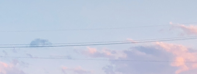 さ  きさんの壁紙画像