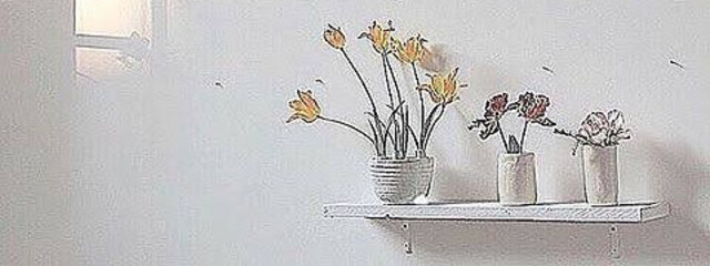 nooiさんの壁紙画像