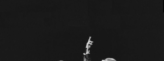 みにさんの壁紙画像