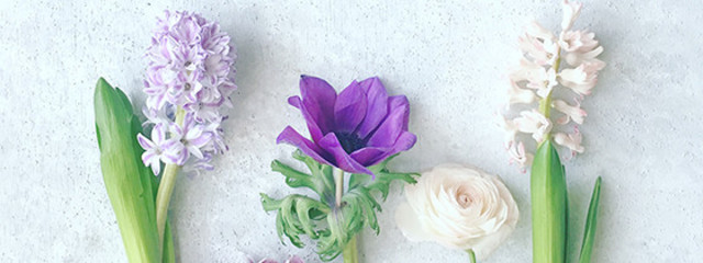 *.~.Lime.~.*さんの壁紙画像