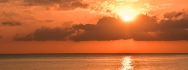 せいさんの壁紙画像