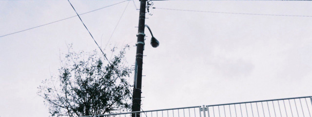 ひよさんの壁紙画像