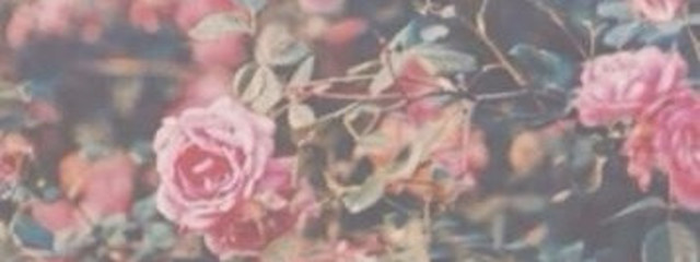 YUBANさんの壁紙画像