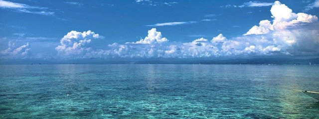 Belle(受験終わるまで休む)さんの壁紙画像