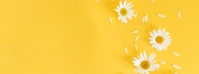 乳製品さんの壁紙画像