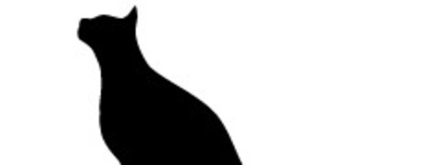 猫狐(ΦωΦ)＠パーカー教さんの壁紙画像