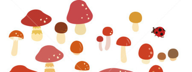 🍄ノコ 🍄さんの壁紙画像