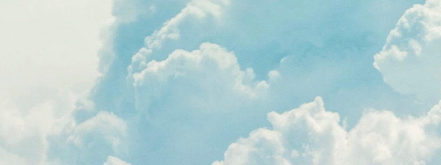 道枝駿佑のきんぴらごぼうさんの壁紙画像