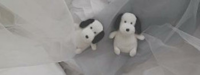  ぼ ぶ 。さんの壁紙画像