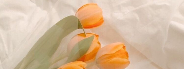 みかんさんの壁紙画像