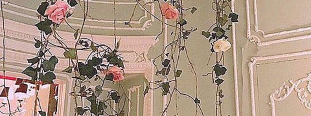 yuuki さんの壁紙画像